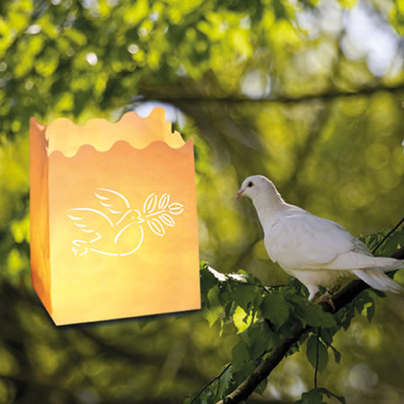 Lanterne di carta Mini &