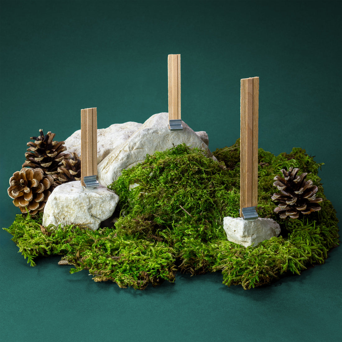 Stoppini in legno "Crackling Booster" con Clip di supporto confezione da 10