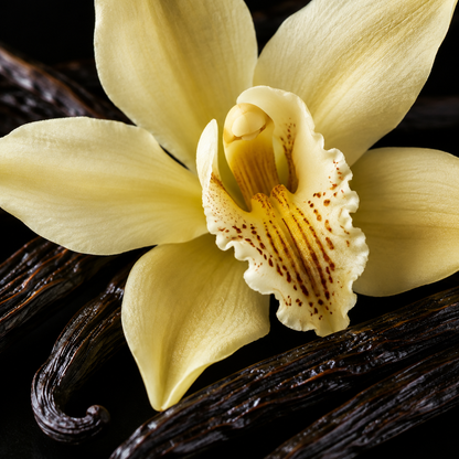 Vanilla Noir Cereria San Giacomo